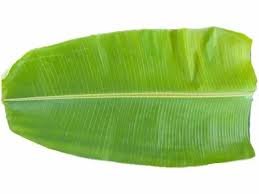 Banana Leaf